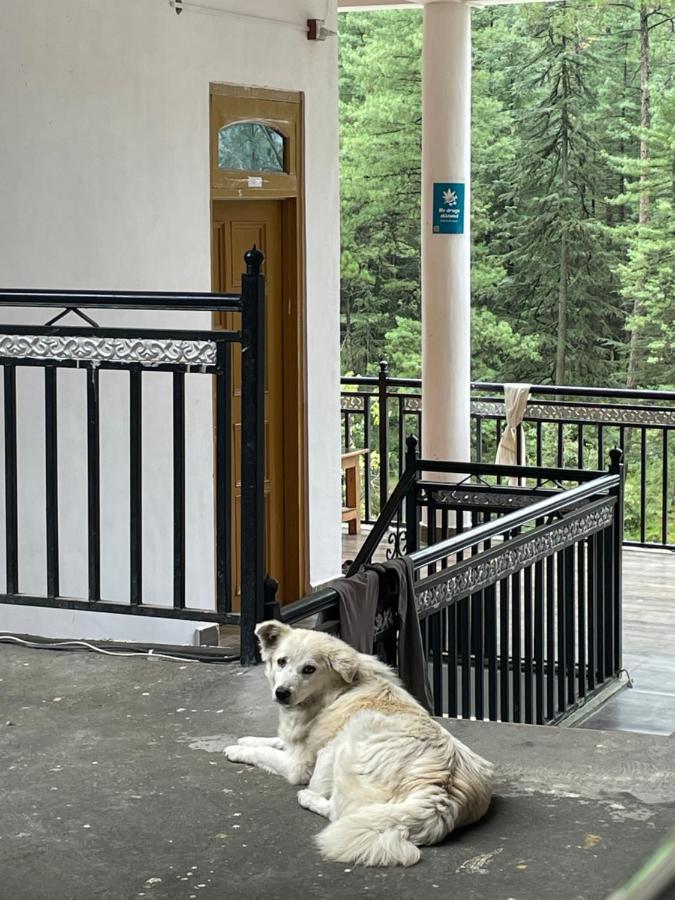 Wabi Sabi Riverside Hostel Kasol Buitenkant foto